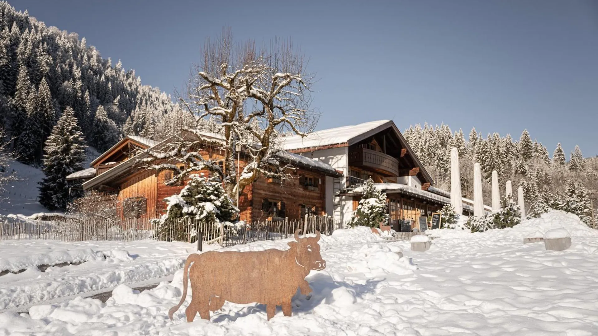 Alpe Dornach Ξενοδοχείο Όμπερσντορφ 4*,